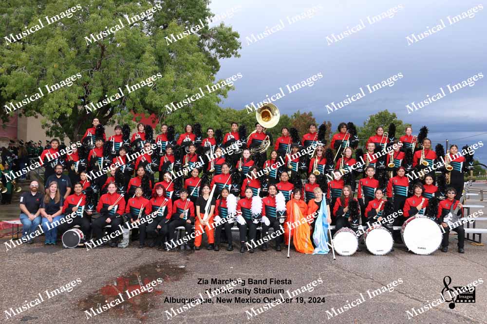 Musical Images